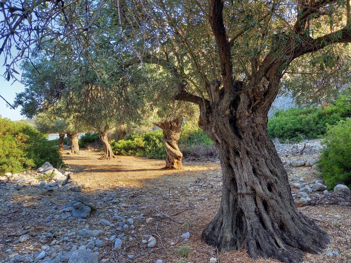 Villa Chelidonia à Steni Vala Alonissos Extérieur photo